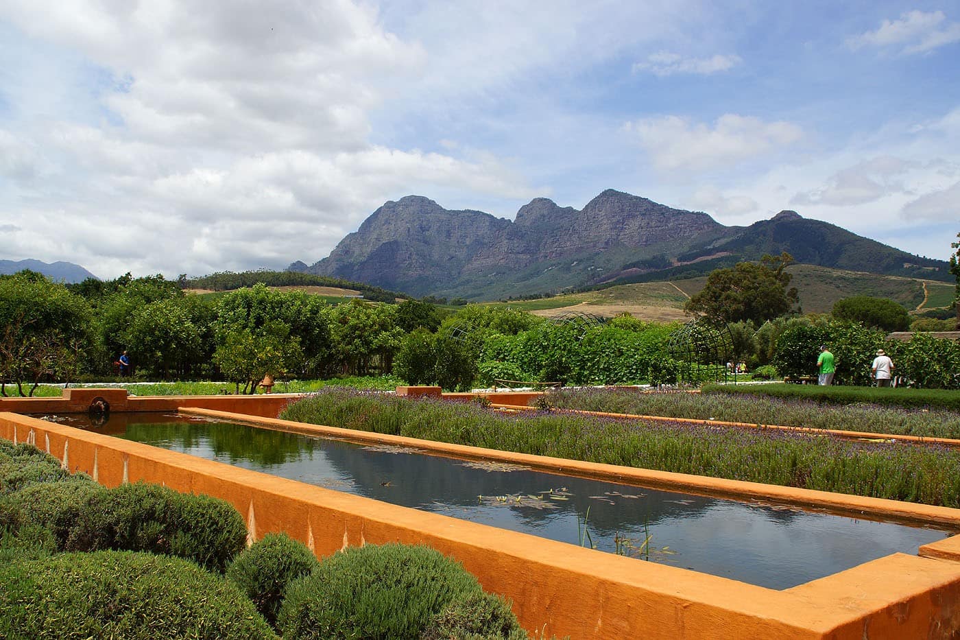 The garden at Babylonstoren with the Simonsberg mountains behind