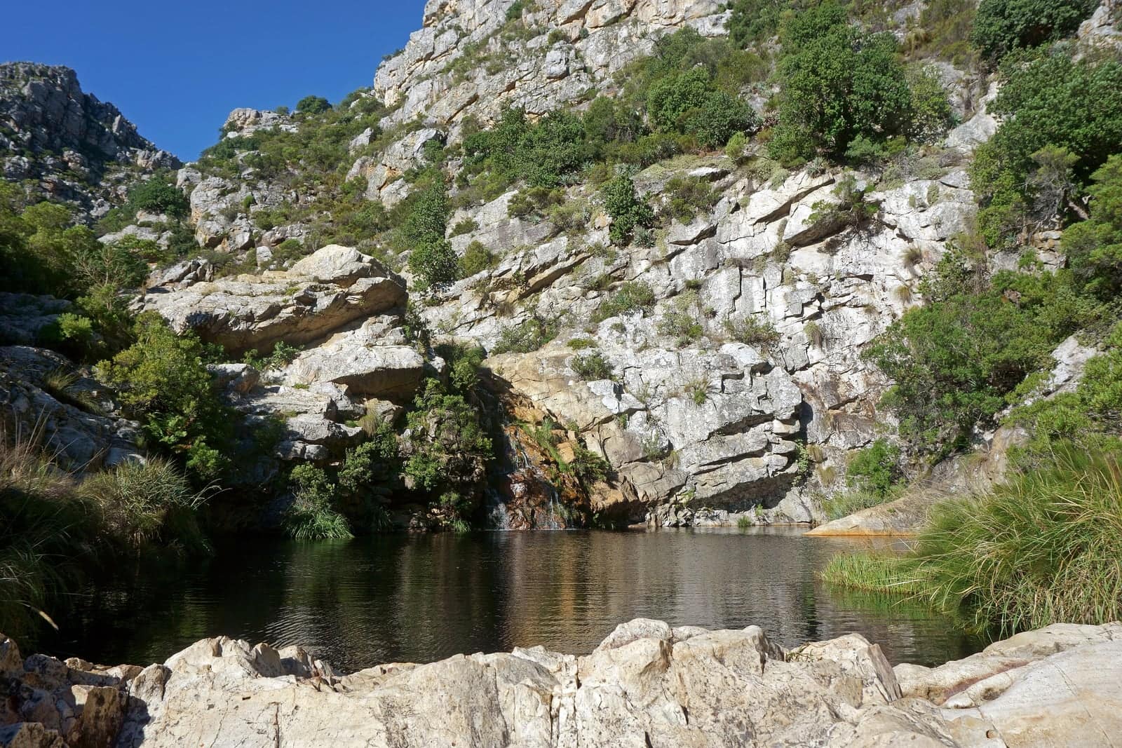One of the Crystal Pools in the Steenbras River Gorge, below sandstone cliffs and fynbos