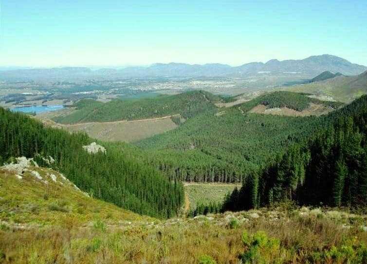 A view over the Elgin Valley near Grabouw