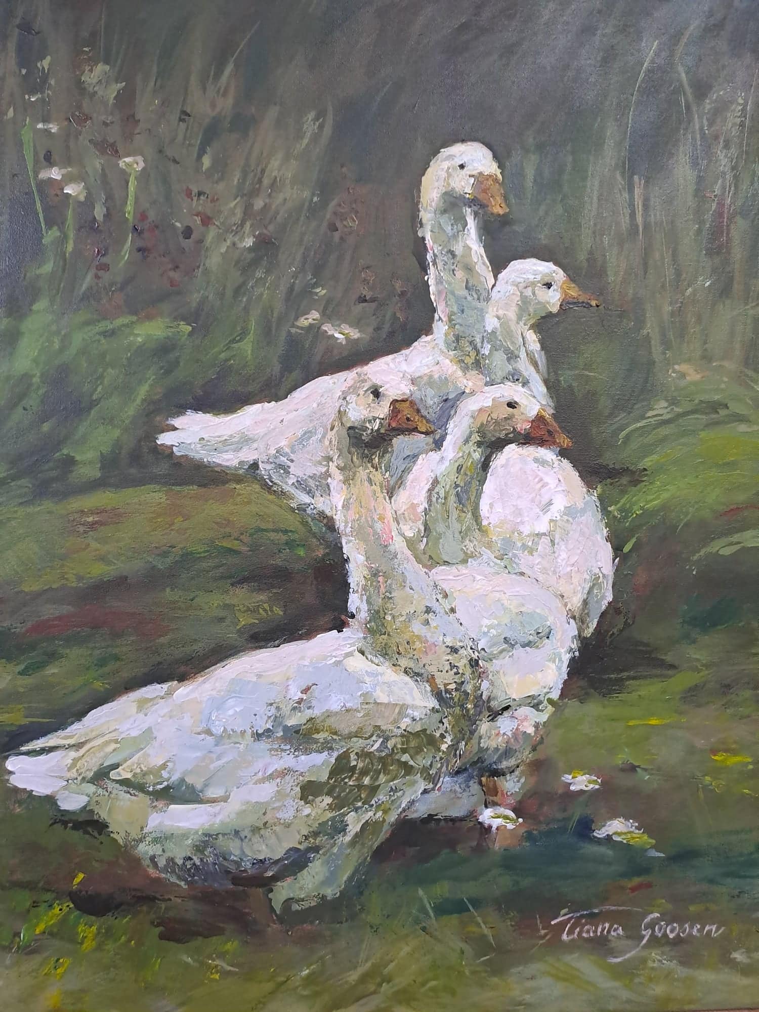 An oil painting of four white geese in long grass, by Tiana Goosen